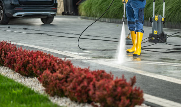 Best Driveway Pressure Washing  in Bloomingdale, FL